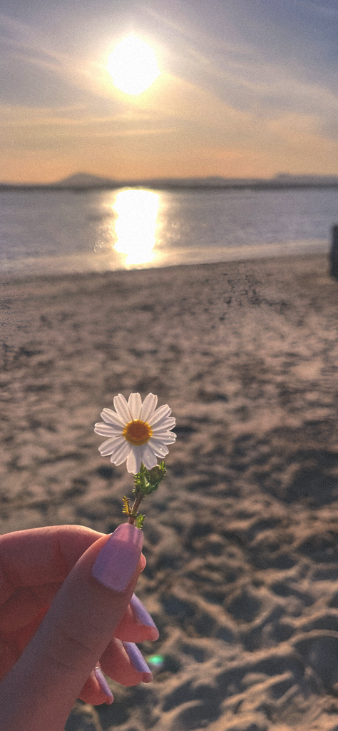 Fondo de pantalla de la playa apareciendo una mano con una florecita blanca