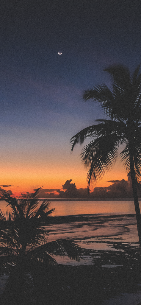Fondo de pantalla de la playa aesthetic de noche