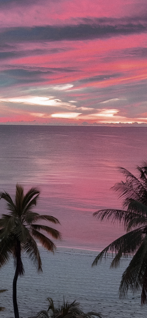 Fondo de pantalla de la playa con palmeras y vista al atardecer