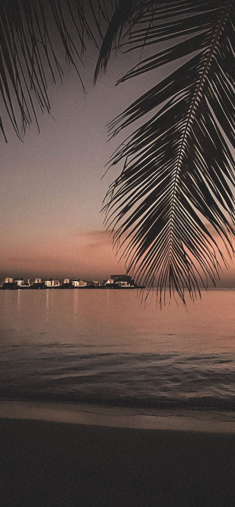 Fondo de pantalla aesthetic de la playa para dispositivos movil