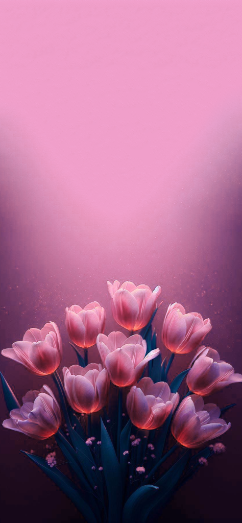 Fondos de pantalla de tulipanes hermosos numero 12