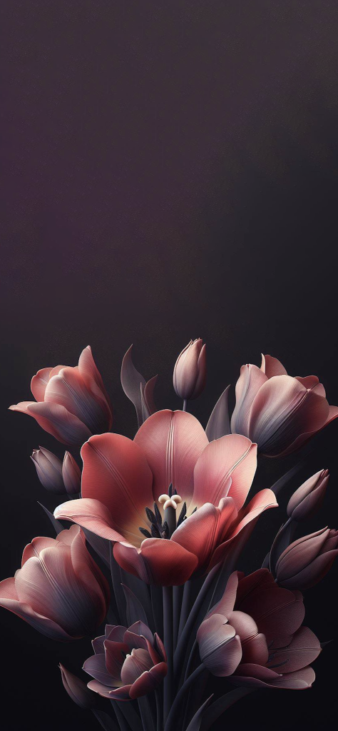 Fondos de pantalla de tulipanes hermosos numero 5