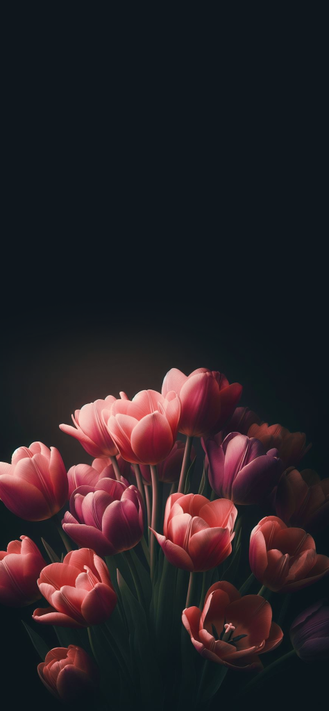 Fondos de pantalla de tulipanes hermosos numero 6