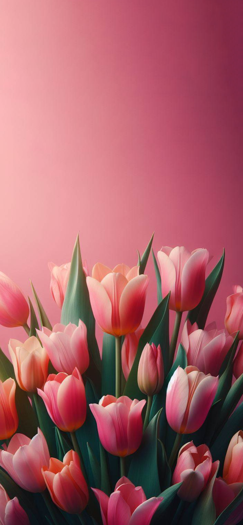 Fondos de pantalla de tulipanes hermosos numero 9