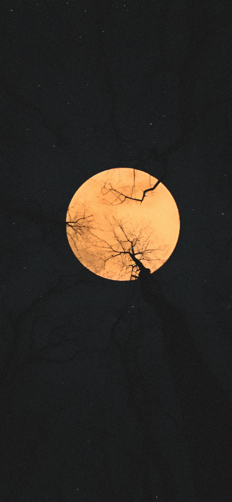 fondo de pantalla negro con luna llena