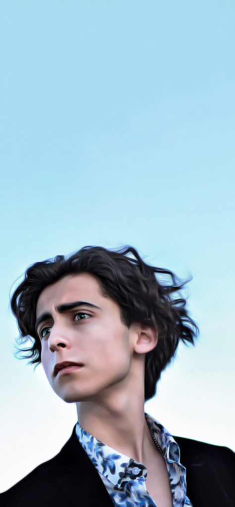 Fondos de pantalla de Aidan Gallagher pelo largo