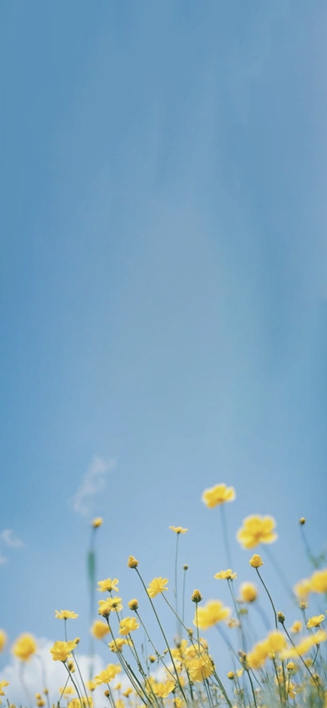 fondo de pantalla bonito para mujeres de florecitas amarillas