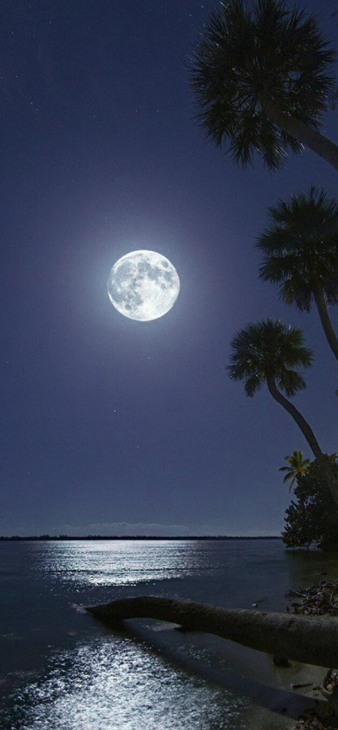 Fondo de pantalla de la luna en el mar