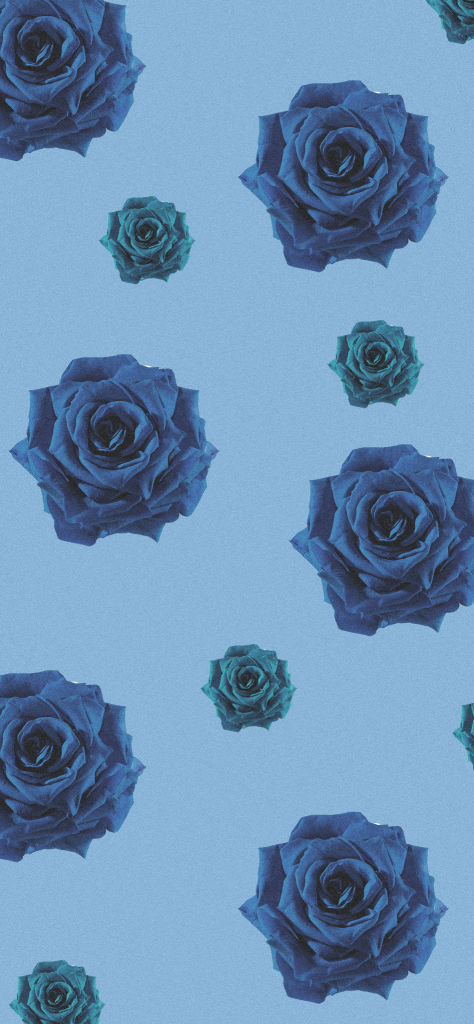 Fondo de pantalla azul con rosas azules