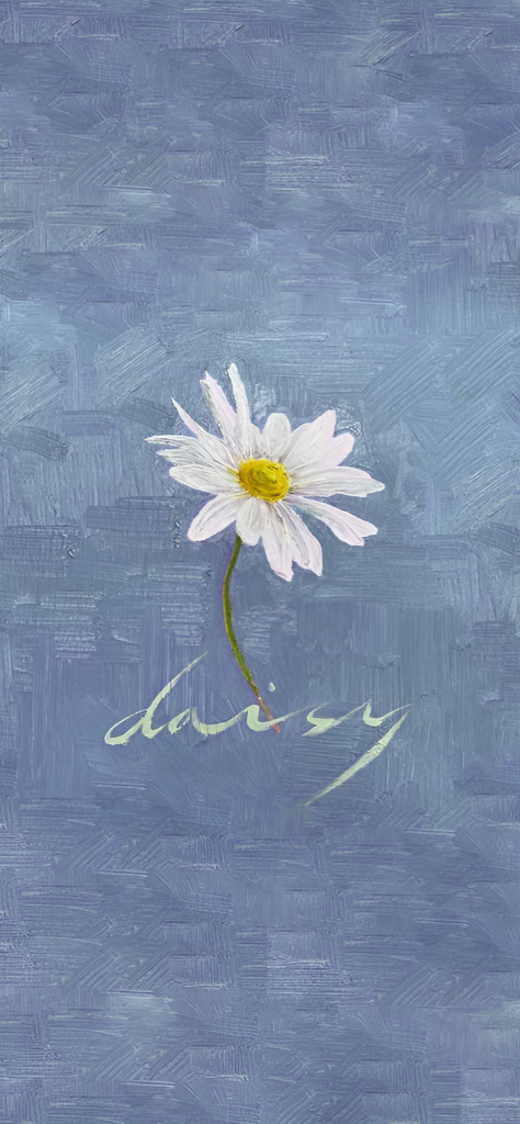 Fondo de pantalla azul cielo con flor margarita bonita