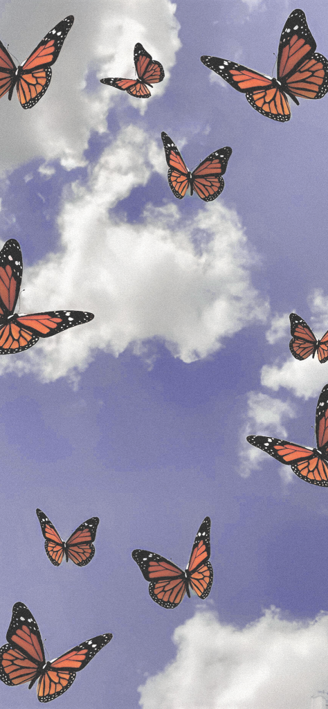 fondo de pantalla morado con el cielo de fondo y mariposas monarcas naranja