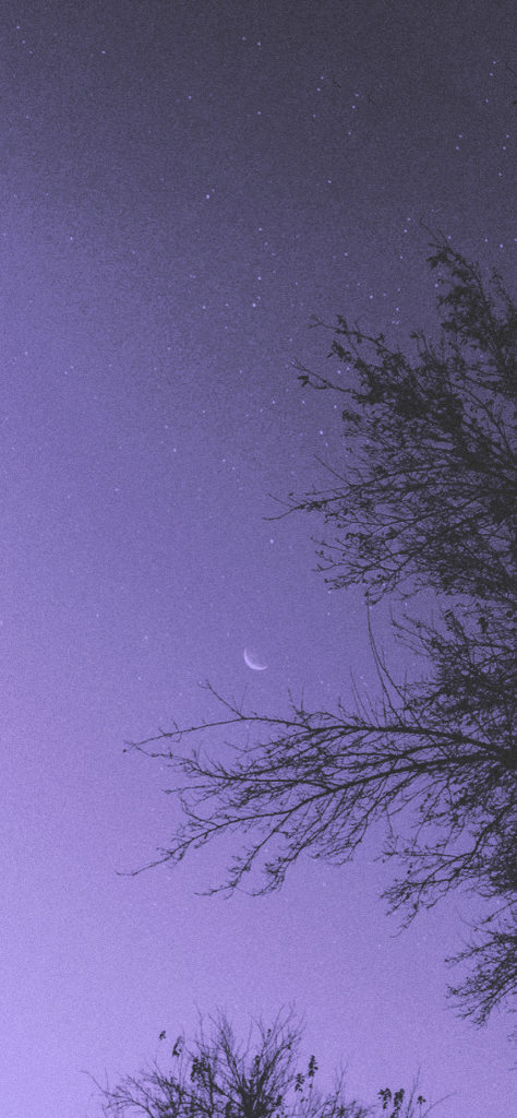 fondo de pantalla morado con vista al cielo y con media luna