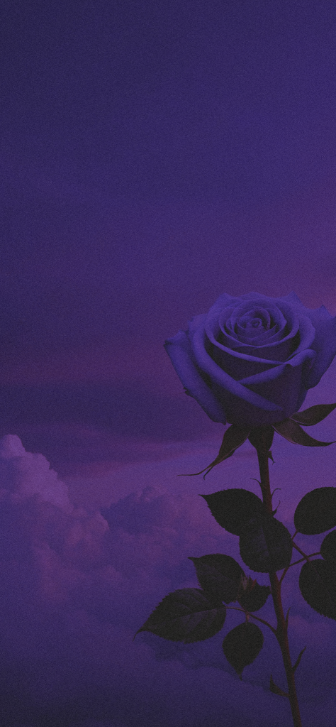 Fondo de pantalla aesthetic morado con una rosa morada y el cielo con nubes de fondo