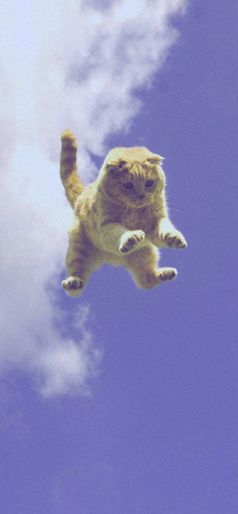 Fondo de pantalla de color morado pastel con un gato en el aire