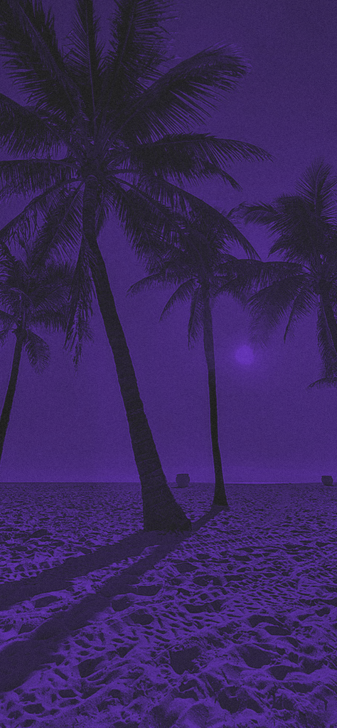 fondo de pantalla morado con negro en la playa con palmeras
